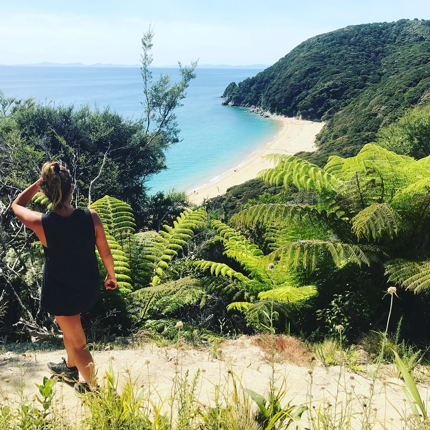 Drift Off Grid - Abel Tasman Coast Track