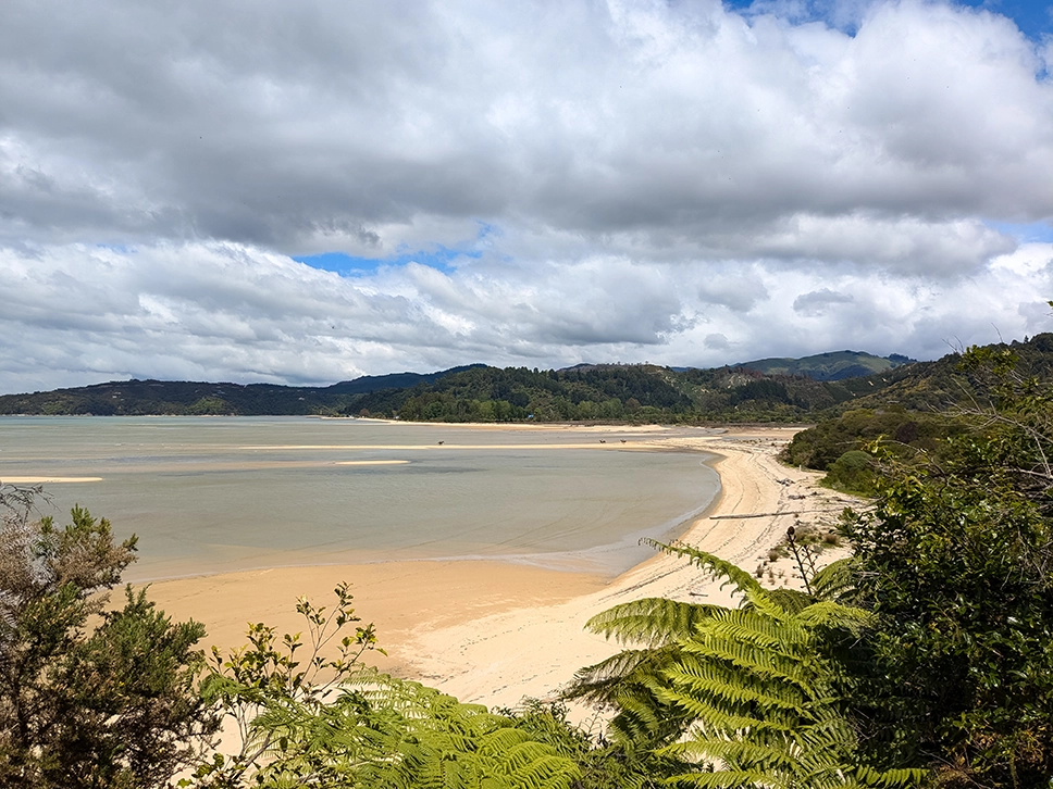 Drift Off Grid - Bespoke guided tour in the Abel Tasman National Park