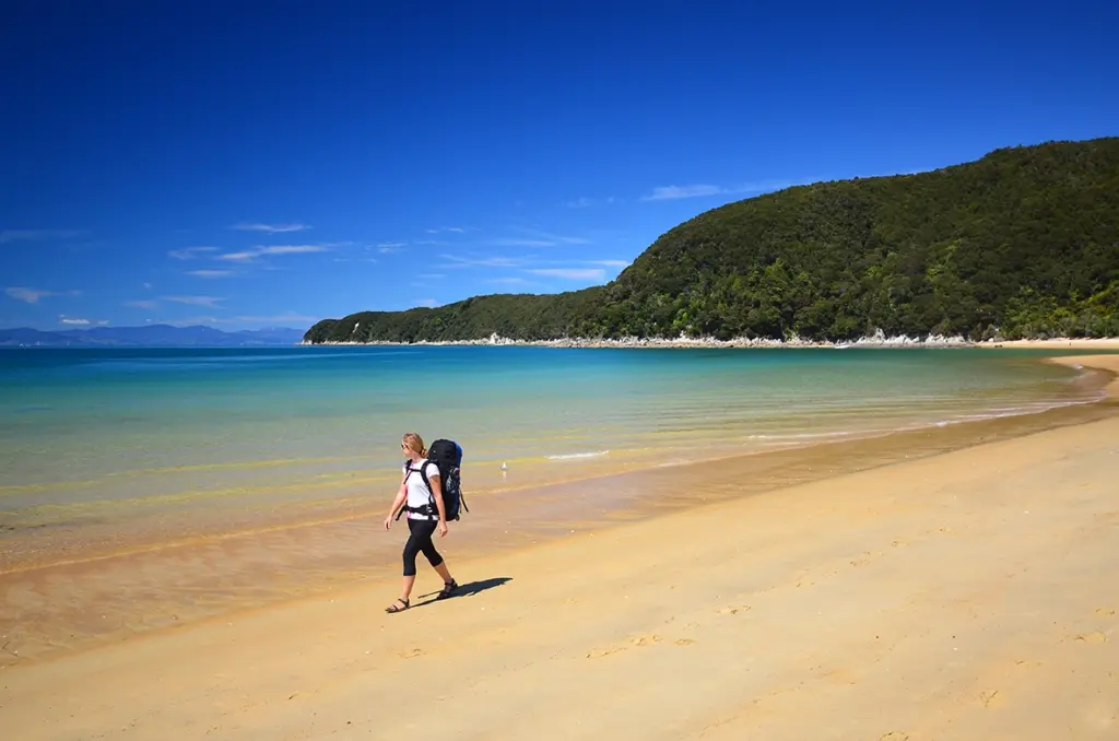 tourist walking at the beach in abel tasman golden bay nz