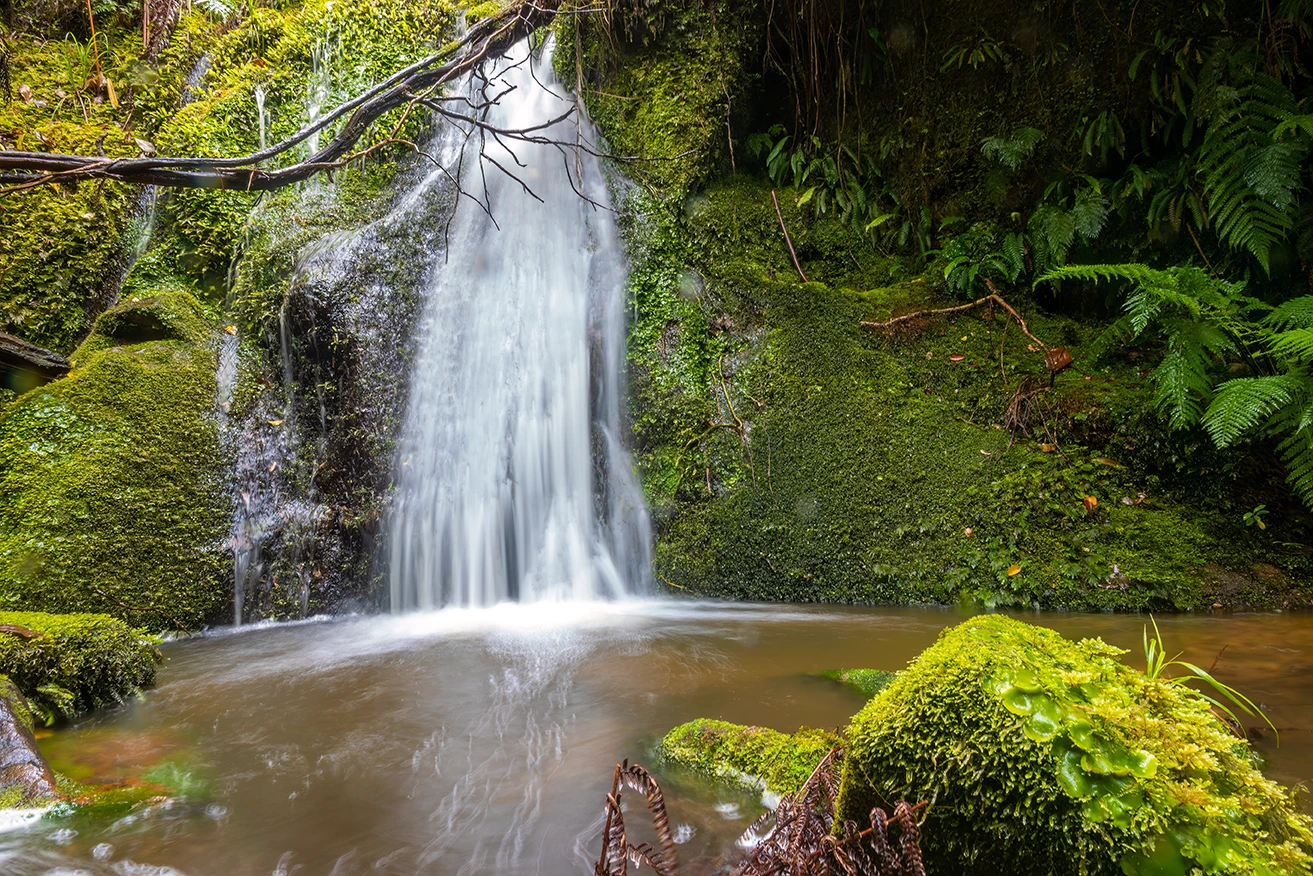 Drift Off Grid - Bespoke guided tour inclusions:
