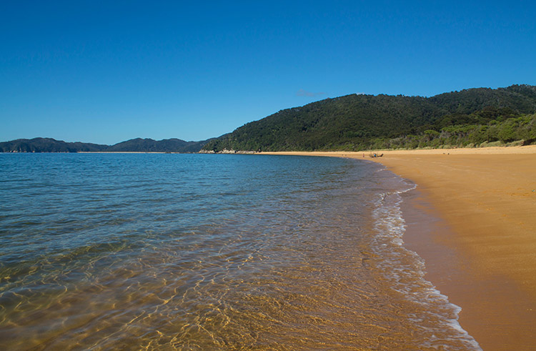 Drift Off Grid - Tōtaranui Beach in The Abel Tasman National Park