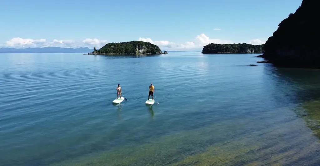 couple paddling board at golden bay abel tasman new zealand
