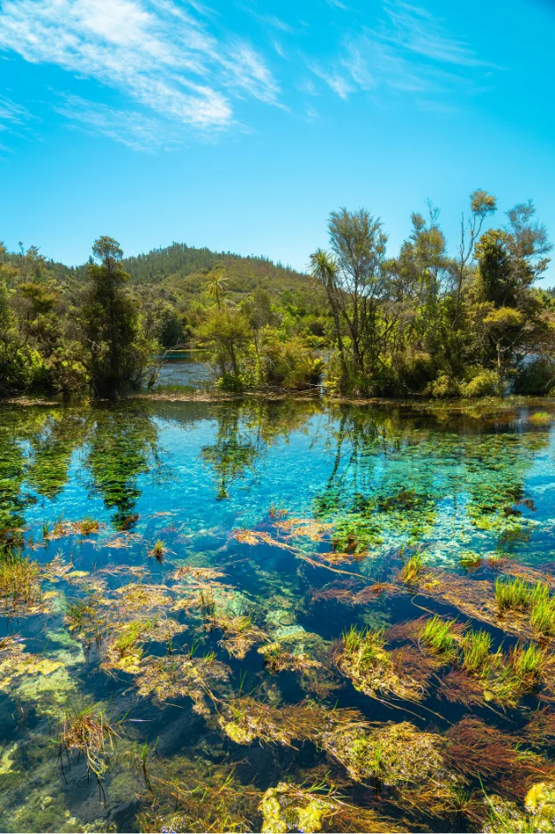 Drift Off Grid - Visiting Te Waikoropupū Springs: A Guide to the Clearest Water in NZ